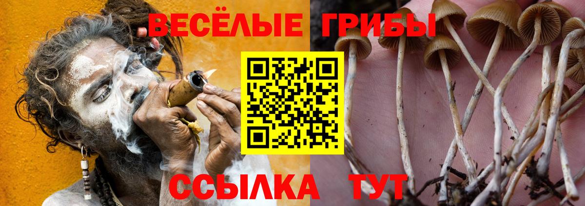 Галлюциногенные грибы мухоморы Обнинск