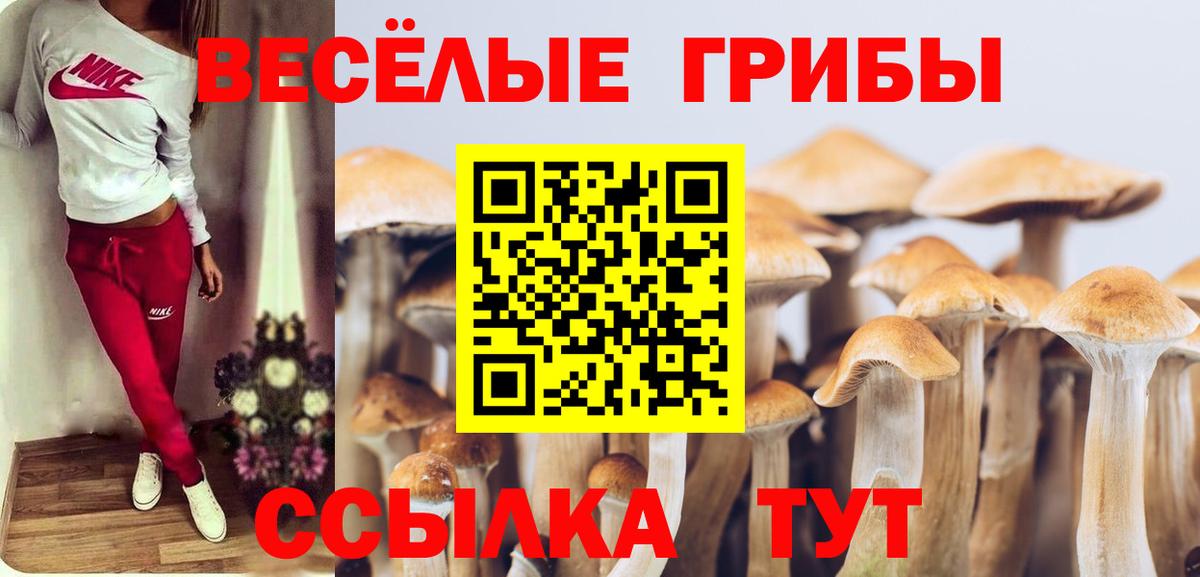 Обнинск  Псилоцибиновые грибы Psilocybine cubensis  цены   Псилоцибиновые грибы GOLDEN TEACHER  Вход с VPN 